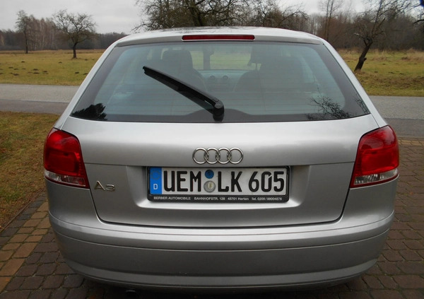 Audi A3 cena 11900 przebieg: 220000, rok produkcji 2004 z Kolbuszowa małe 407